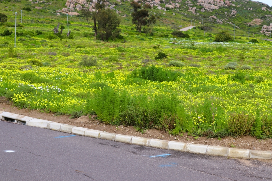 0 Bedroom Property for Sale in St Helena Views Western Cape